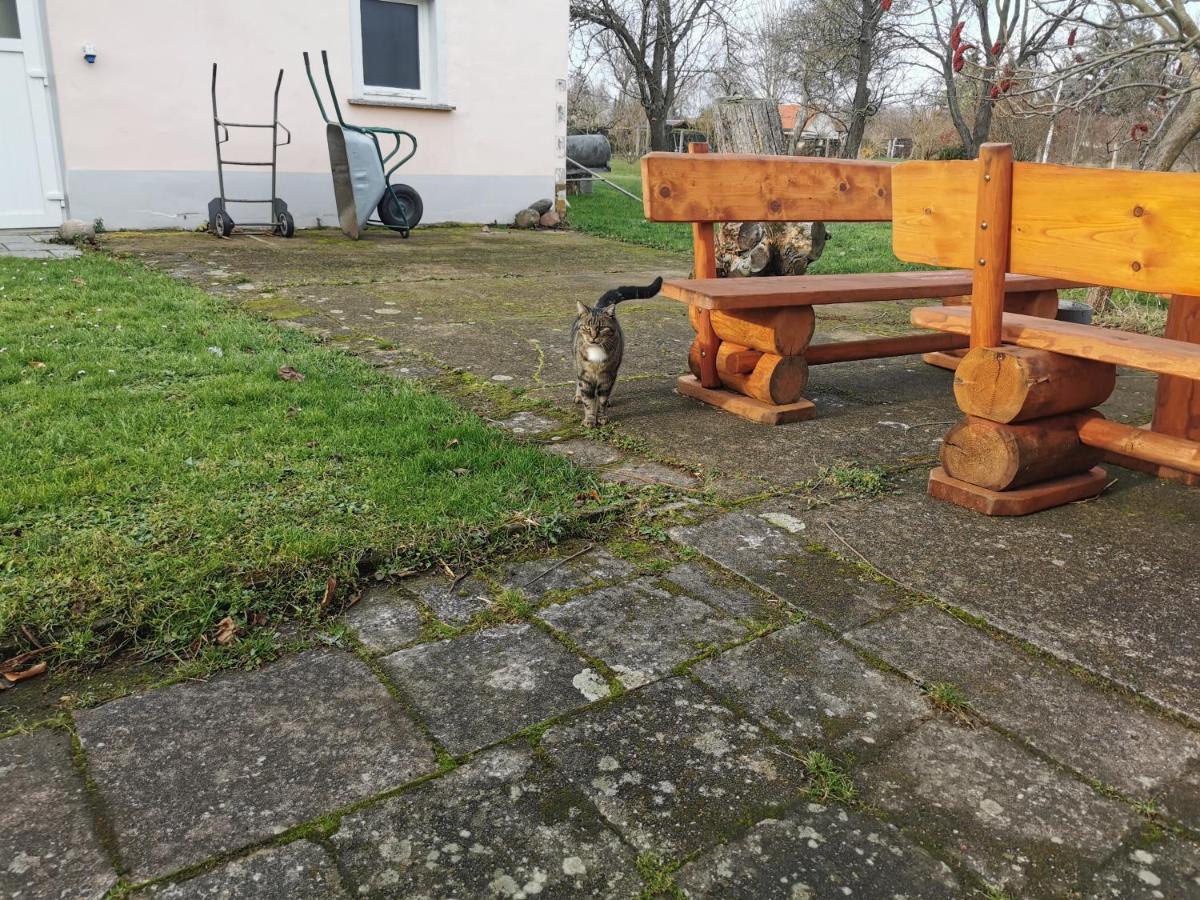 Wellness Oase Auf Dem Land Villa Buttstadt Dış mekan fotoğraf